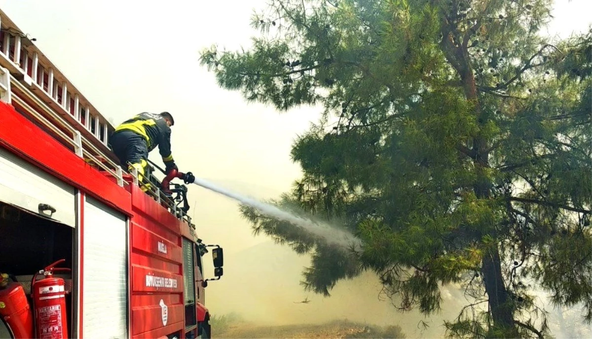 Başkan Gürün\'den yangınlarla mücadele eden ekiplere teşekkür
