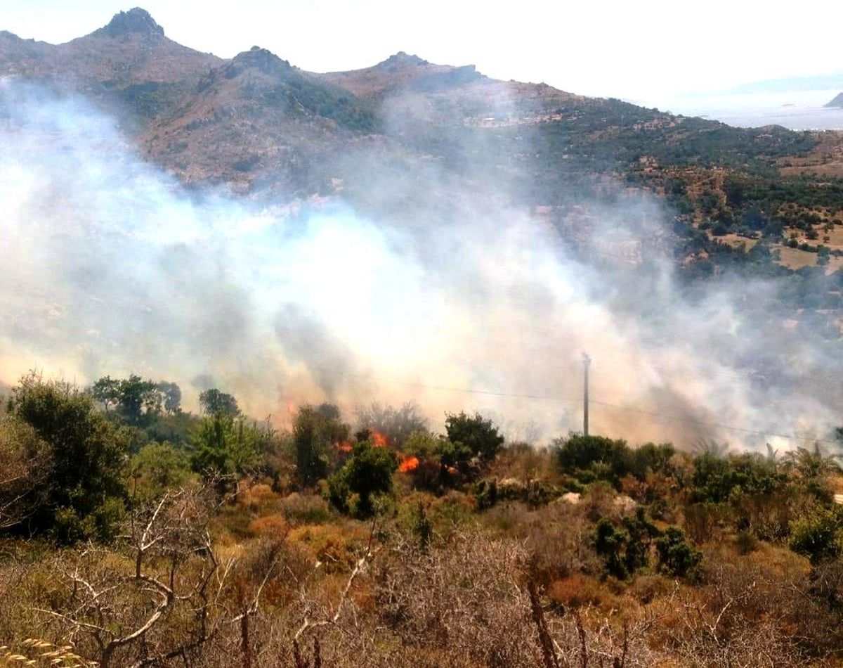 Bodrum\'da başlayan yangın yerleşim yerlerini tehdit ediyor