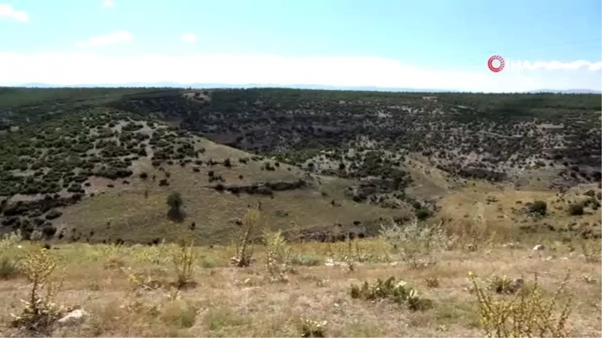 Büyük İskender\'in kurduğu antik kent ortaya çıkarılıyor