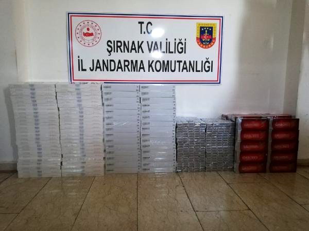Cizre\'de 7 bin 520 paket kaçak sigara ele geçirildi
