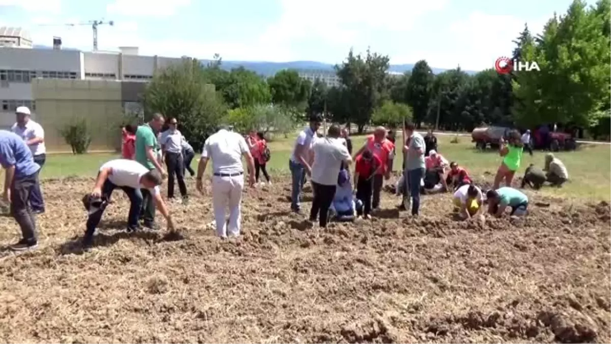 Her 15 Temmuz şehidi için 1 fidan dikildi