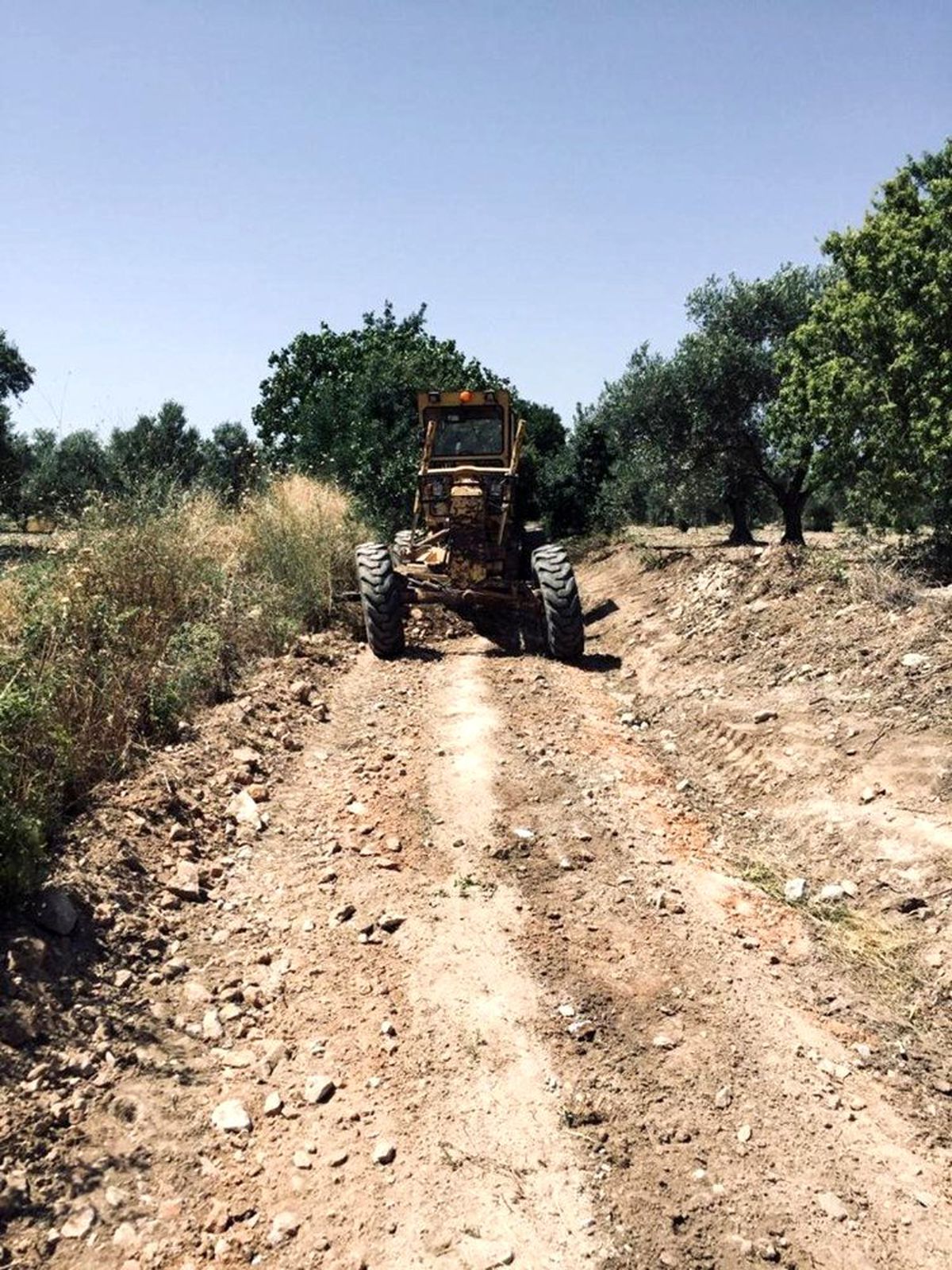 Şehzadeler\'den ovada hummalı çalışma