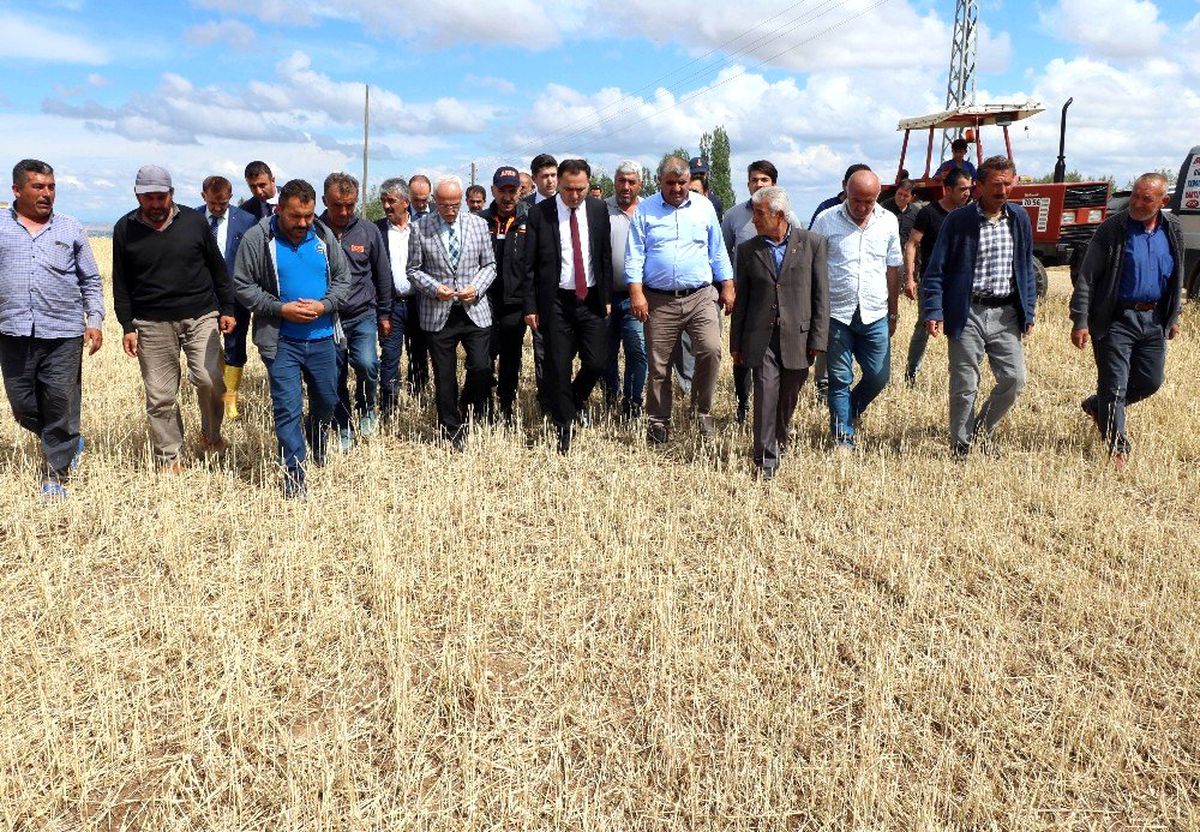 Sel ve doludan zarar gören çiftçilere 4 milyon TL ödenek geldi
