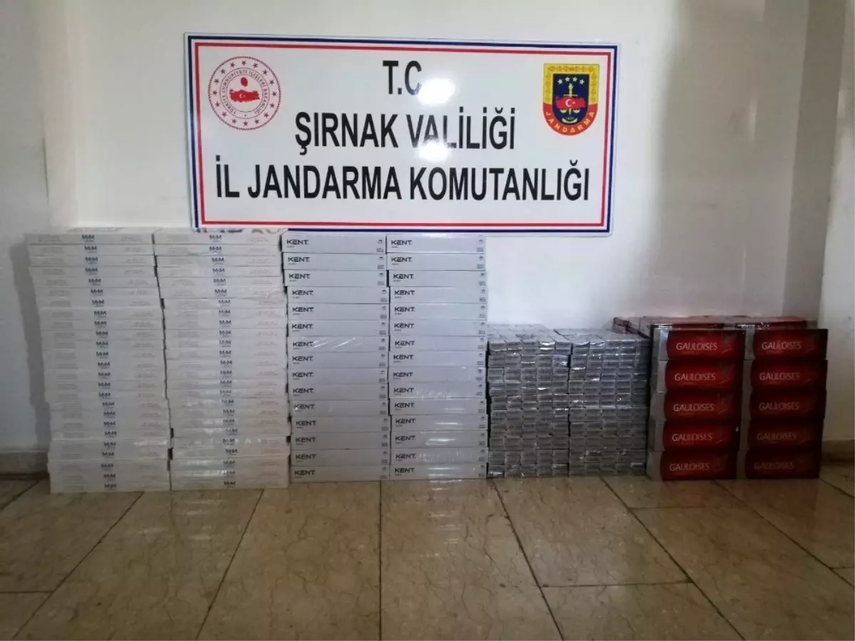 Şırnak\'ta 3 bin 760 paket kaçak sigara ele geçirildi