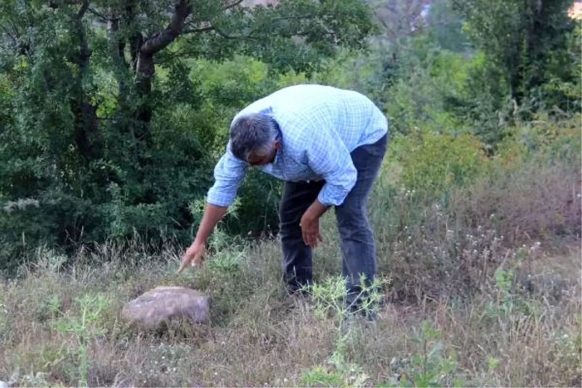 Yol kenarında bulunan lahit korumaya alındı