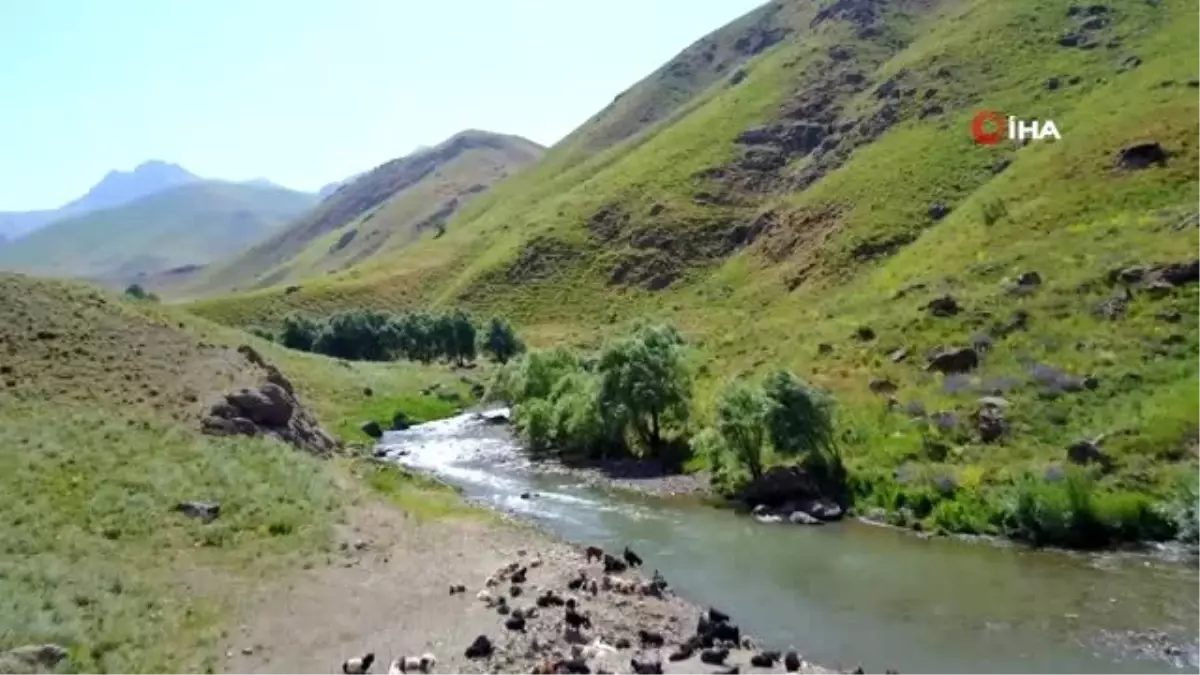 Beytüşşebap Dağları\'ndan yaz manzaraları havadan görüntülendi