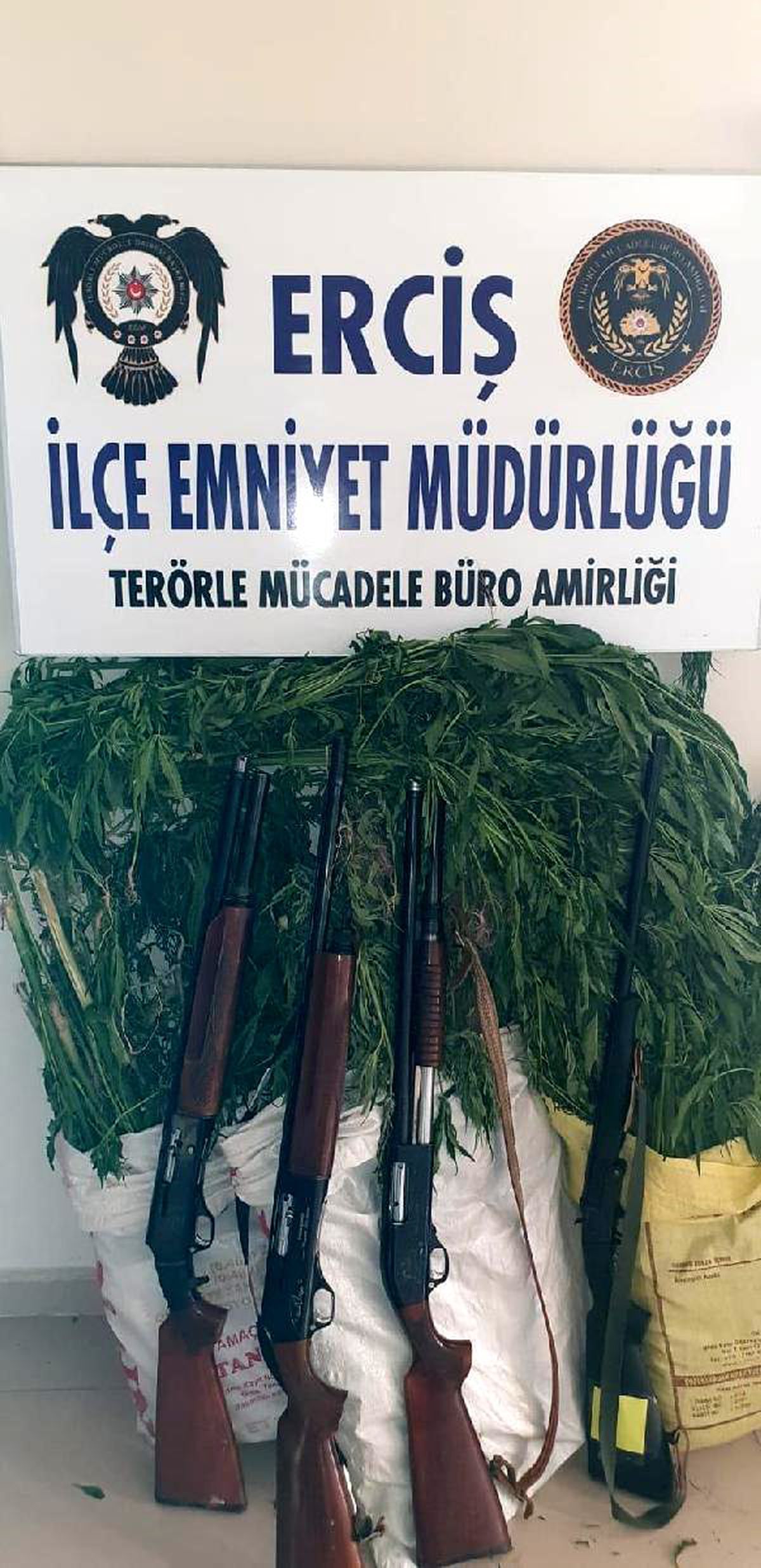 Erciş\'te 120 kök Hint keneviri bitkisi ele geçirildi