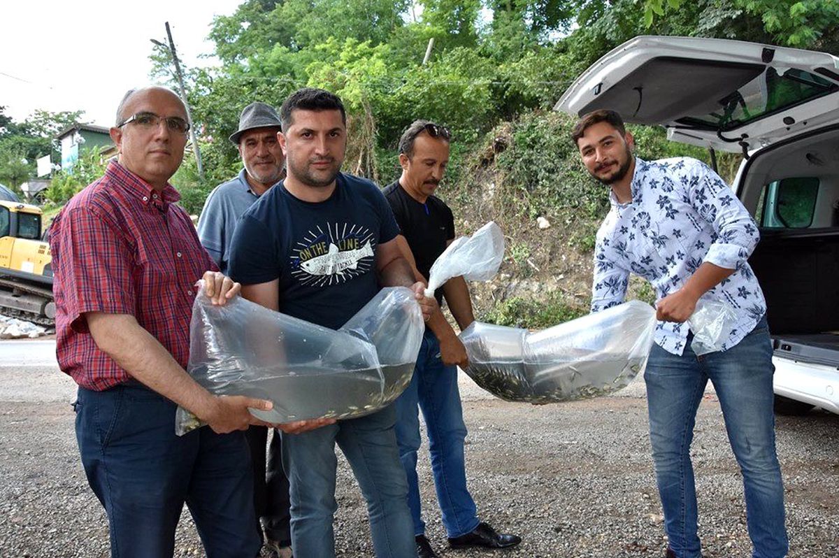 Gaga Gölü\'ne 30 bin sazan yavrusu