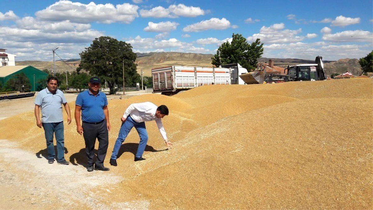 Kırıkkale\'den günlük 800 ton buğday ve arpa sevkiyatı yapılıyor