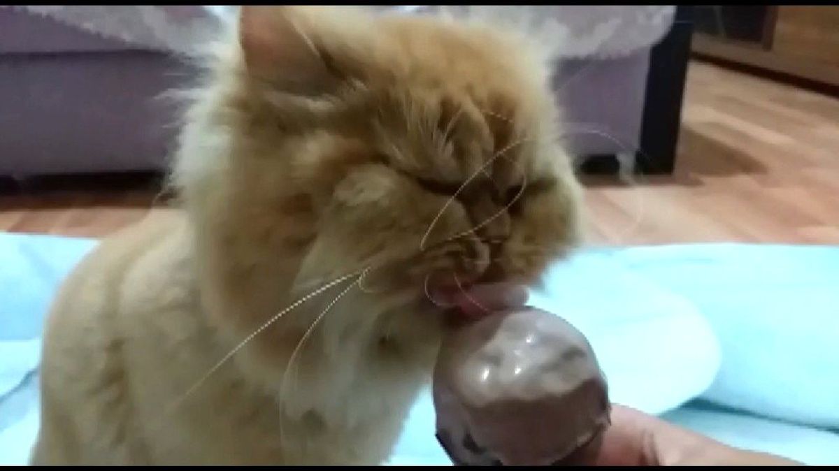 Hera\'nın dondurma keyfi