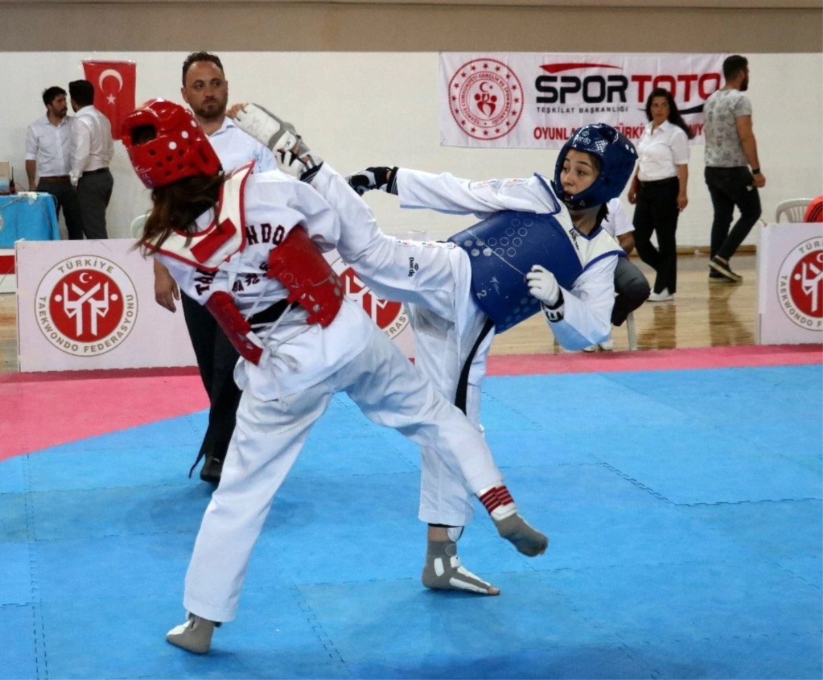 Ümitler Türkiye Taekwondo Şampiyonası Sivas\'da başladı