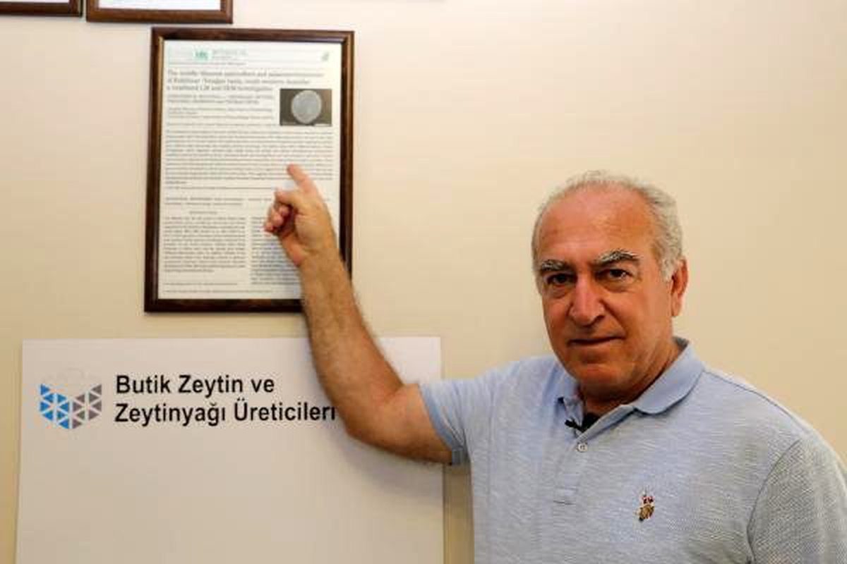 Yatağan\'da 14,3 milyon yıllık zeytin poleni fosili bulundu