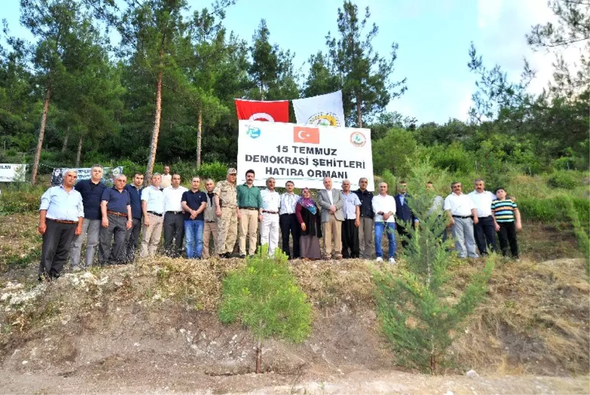 15 Temmuz Demokrasi Şehitleri Hatıra Ormanı\'na fidan dikildi