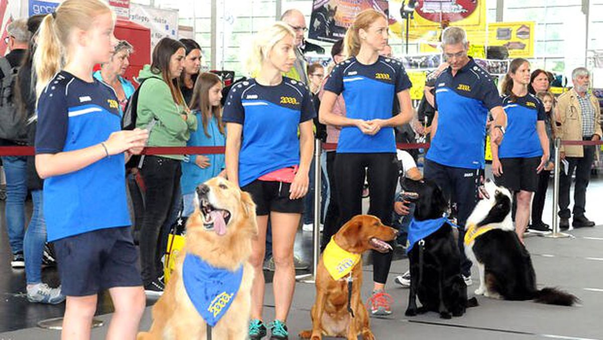 4 bin köpek şampiyonluk için yarıştı