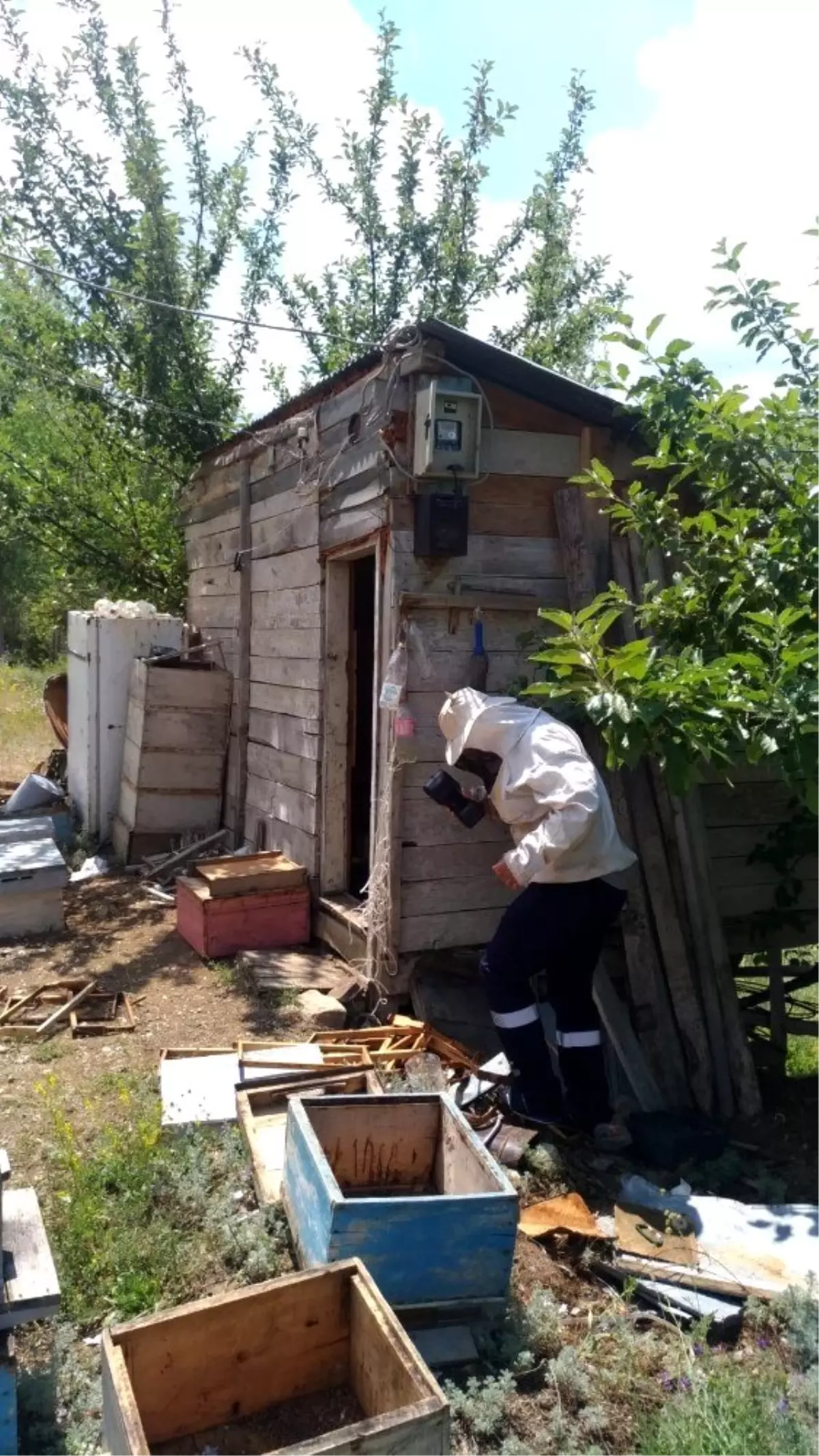 Arıcı değil endeks okuma görevlisi