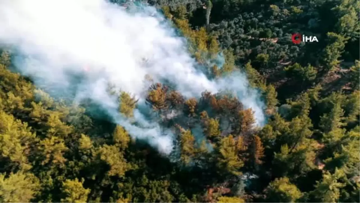 Fethiye\'deki orman yangını söndürüldü