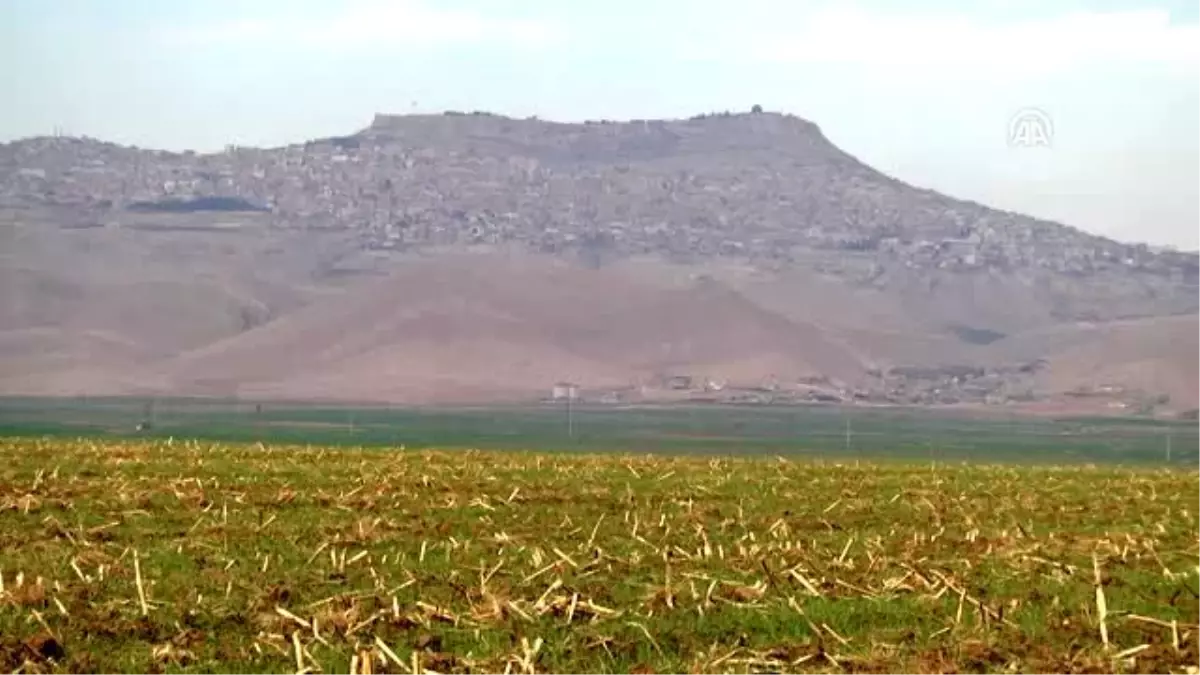 Güneydoğu\'da anız yangınına karşı "seferberlik"