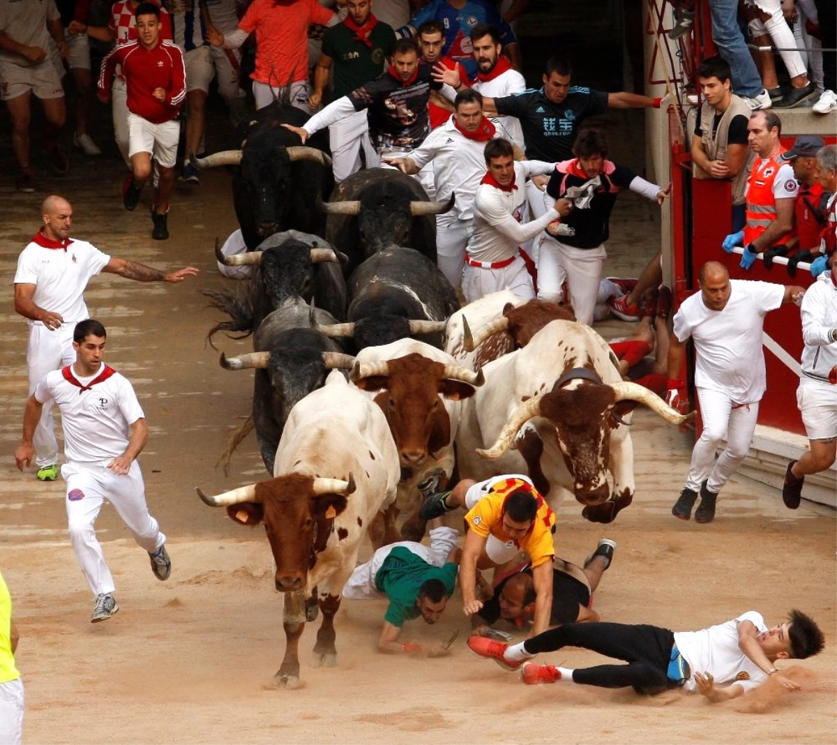 İspanya\'da Boğa Festivali\'nin son gününde 8 kişi yaralandı
