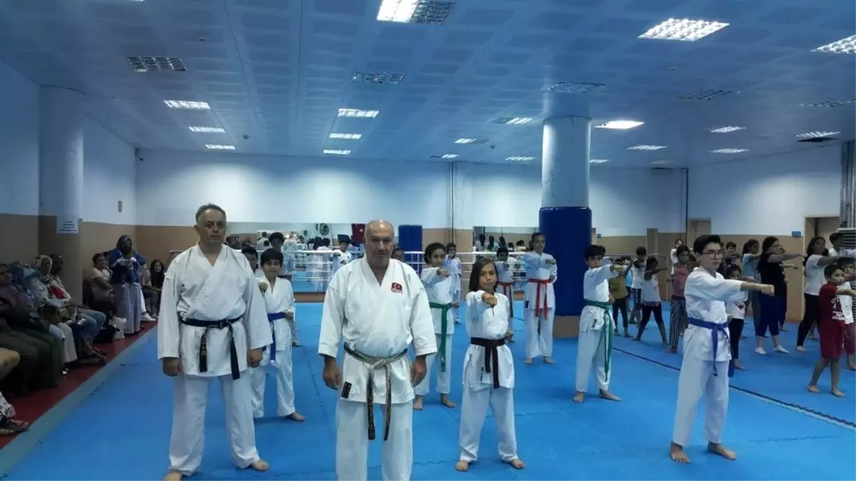 Aydın\'da çocuklara karate merakı sardı