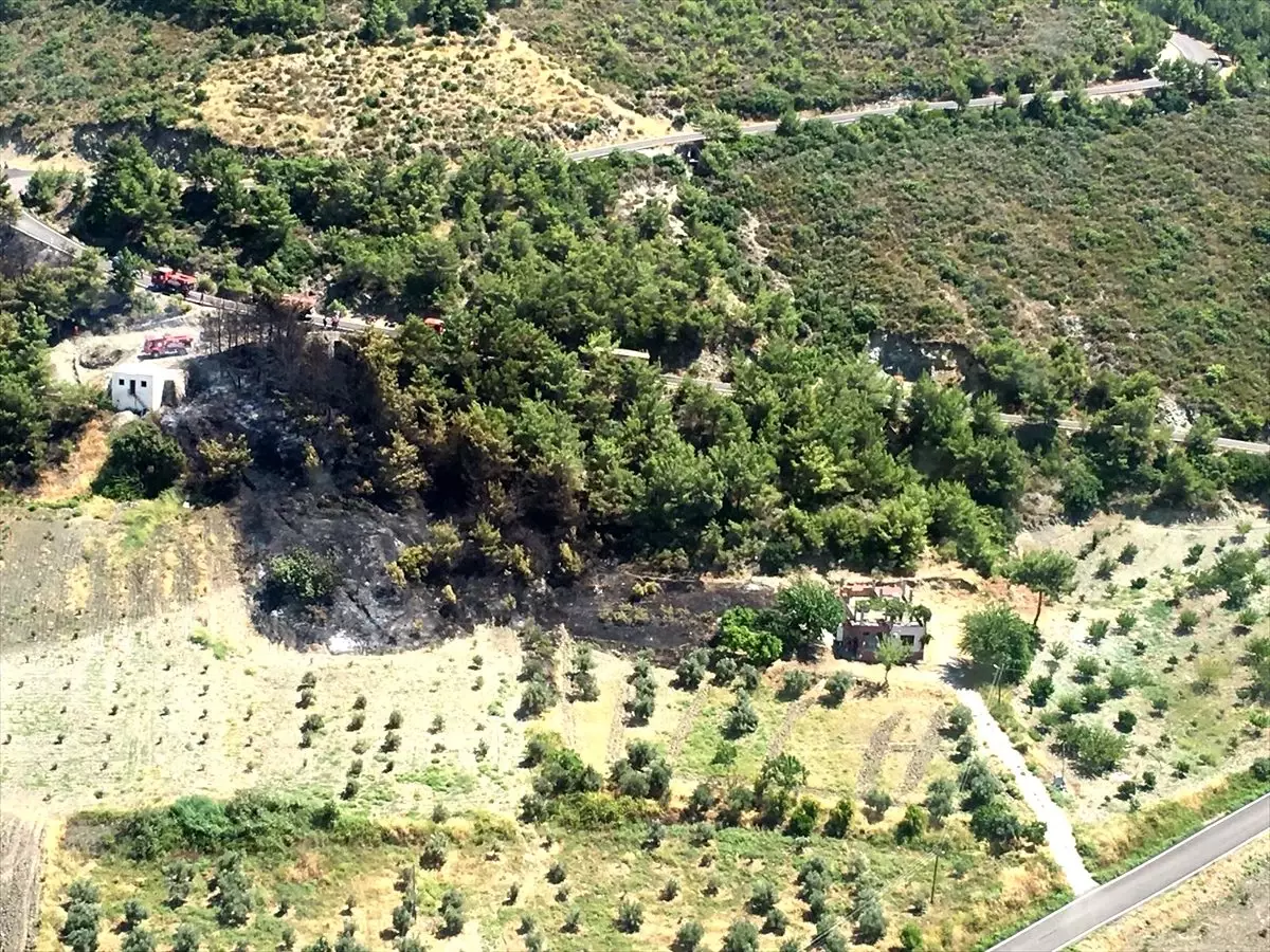 Hatay\'da orman yangını