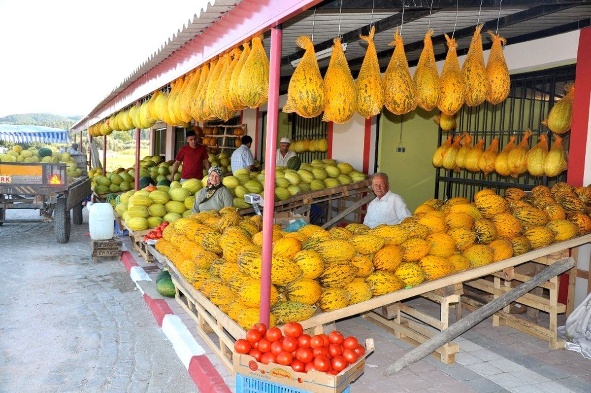 Kırkağaç kavunu, AB\'den coğrafi işaret almaya hazırlanıyor