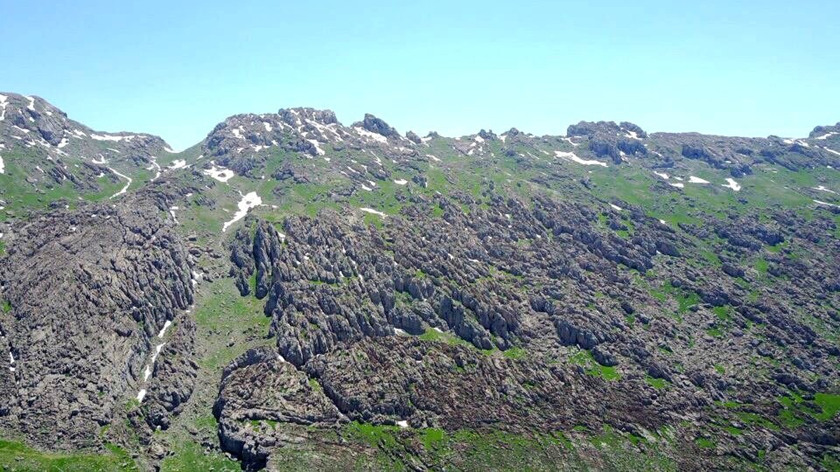 PKK\'lıların tuzakladığı el yapımı patlayıcı infilak etti: 1 işçi öldü, 2 işçi yaralandı