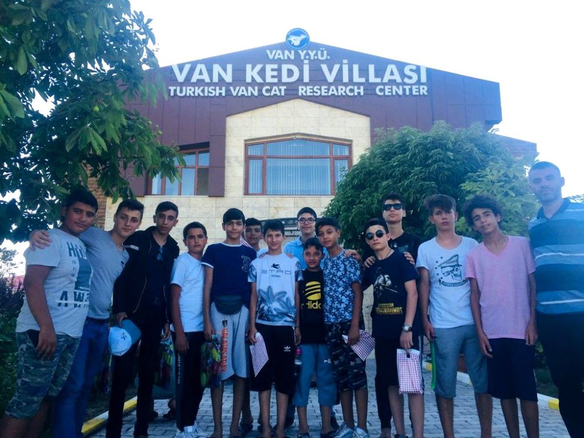 Tekirdağlı öğrenciler Van kedisini sevdi