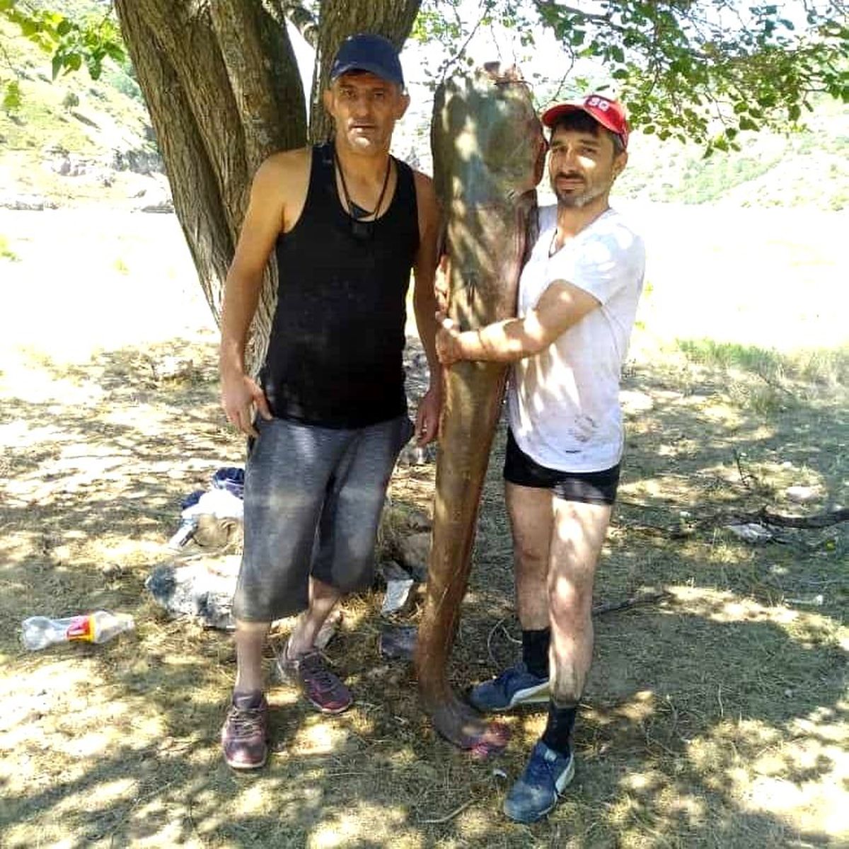 63 kiloluk dev yayın balığını olta ile yakaladılar
