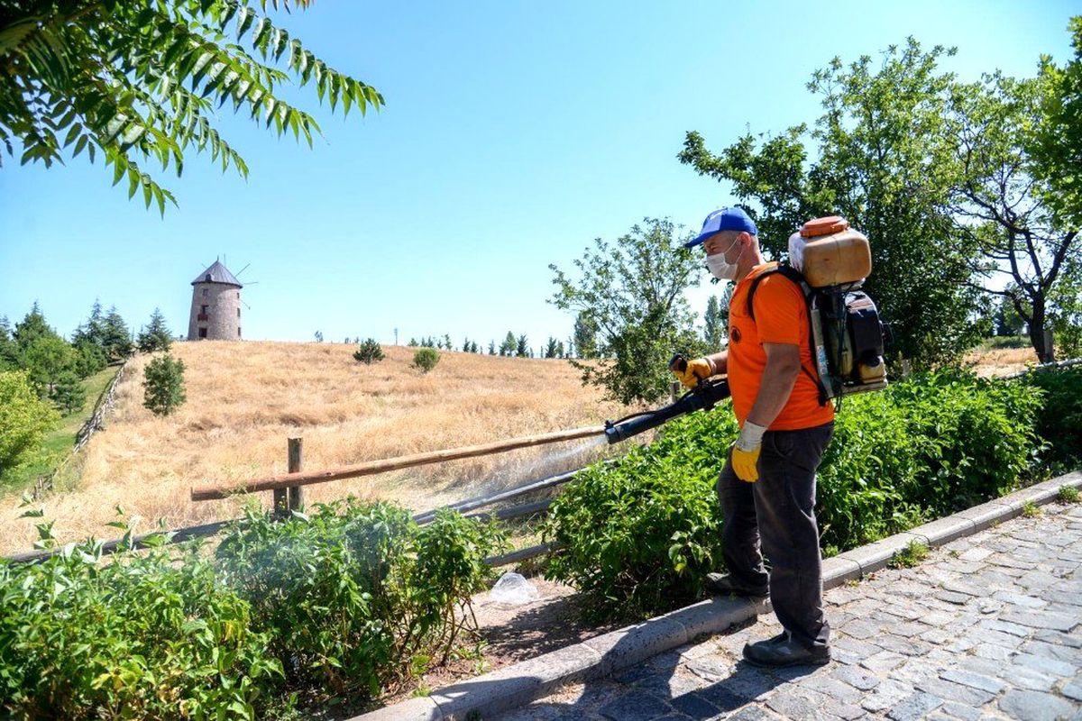 Altınköy ilaçlandı
