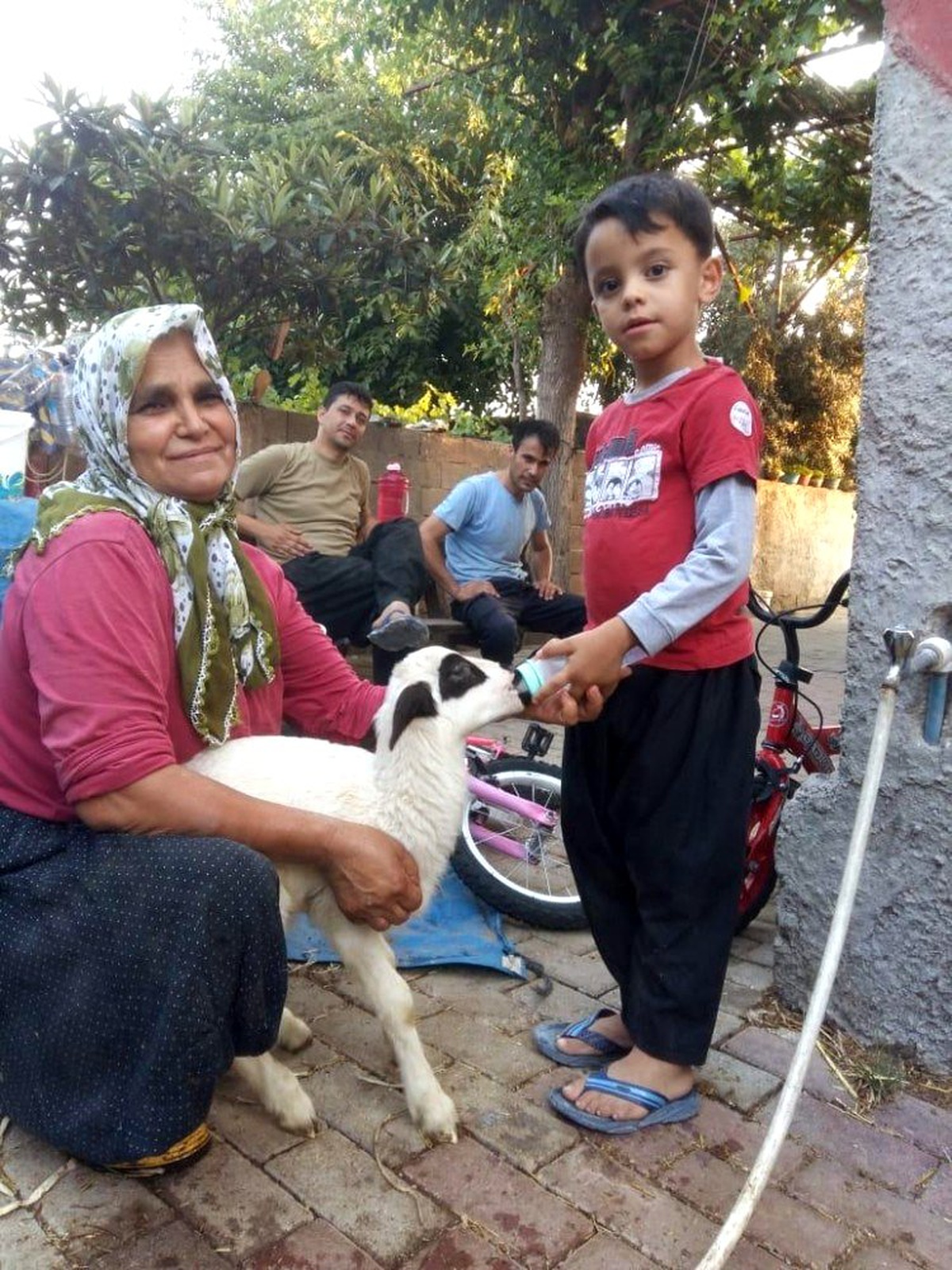 Annesi ölen kuzuyu biberonla besliyor
