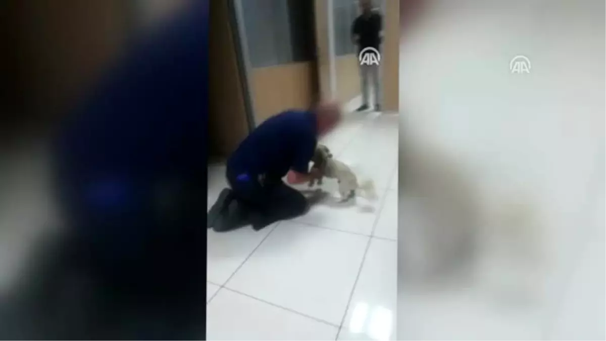 Darbettiği kişinin köpeğini gasbeden zanlı tutuklandı