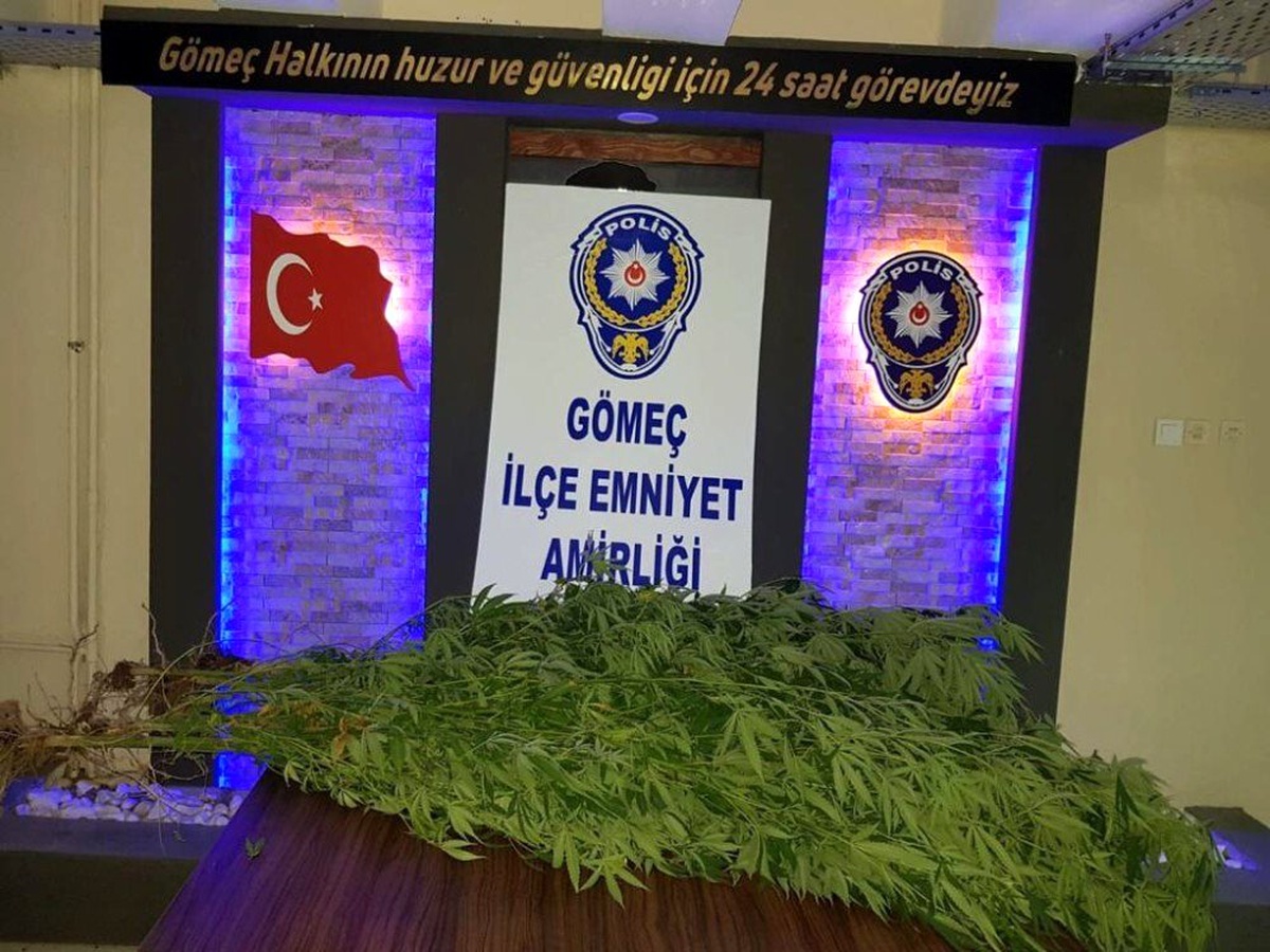 Hint keneviri yetiştiren adam tutuklandı