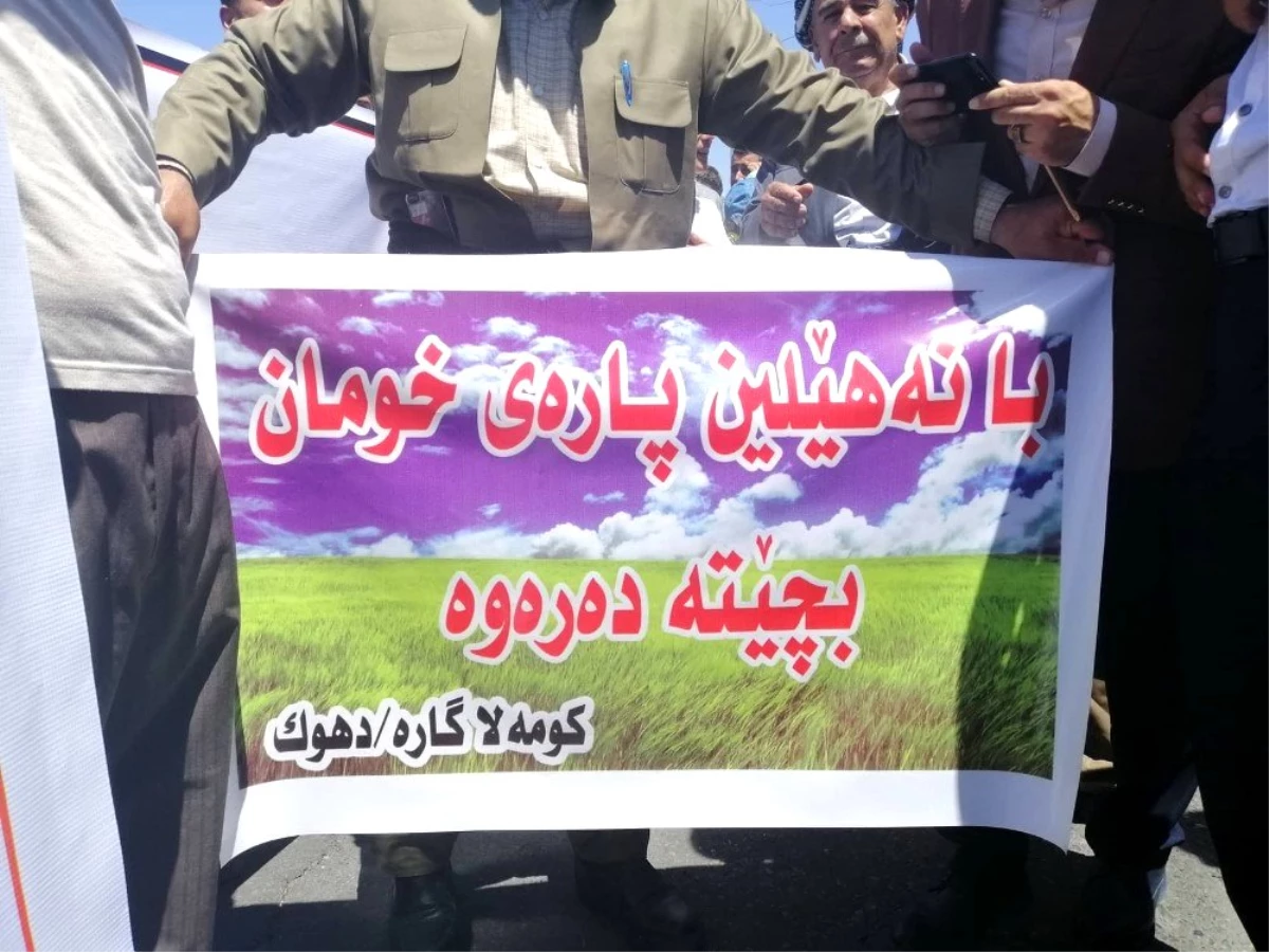 Irak\'ta tavuk yetiştiricilerinden protesto