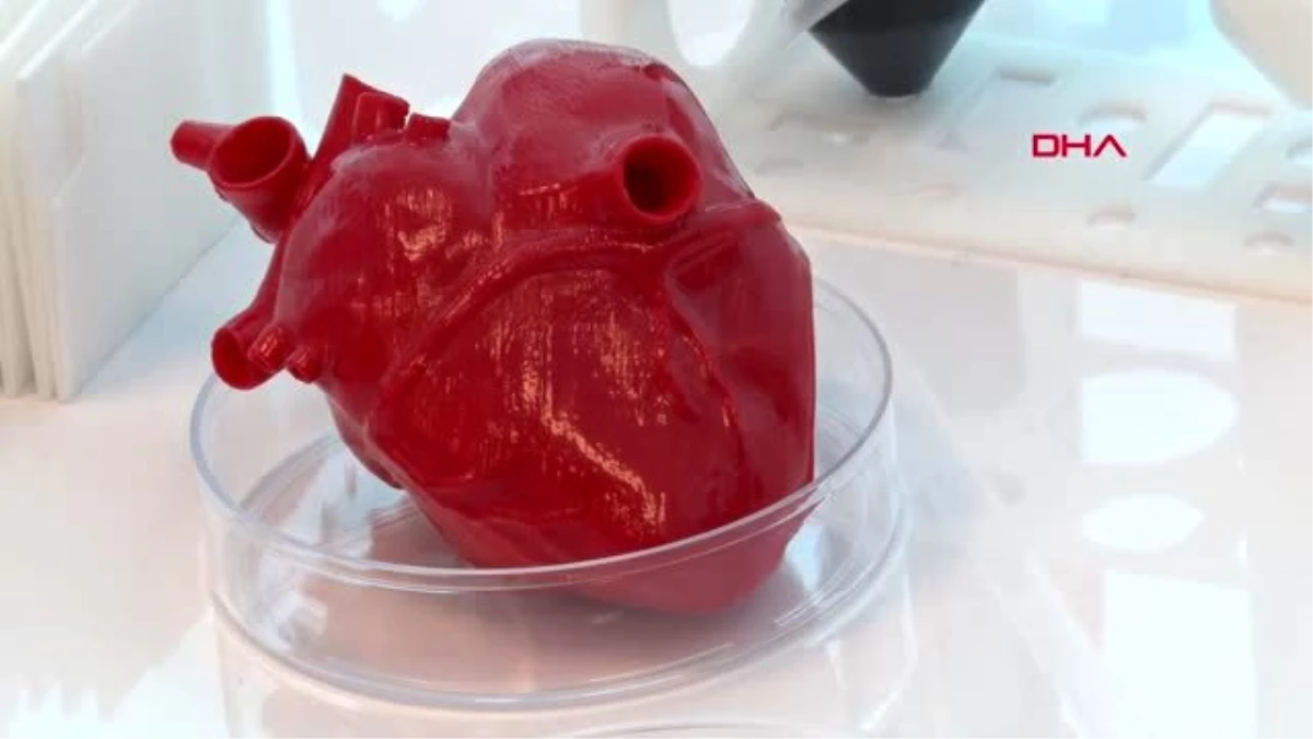 İSTANBUL- Türk bilim insanları kök hücre ve 3D biyo-yazıcı ile \'kalp\' üretecek