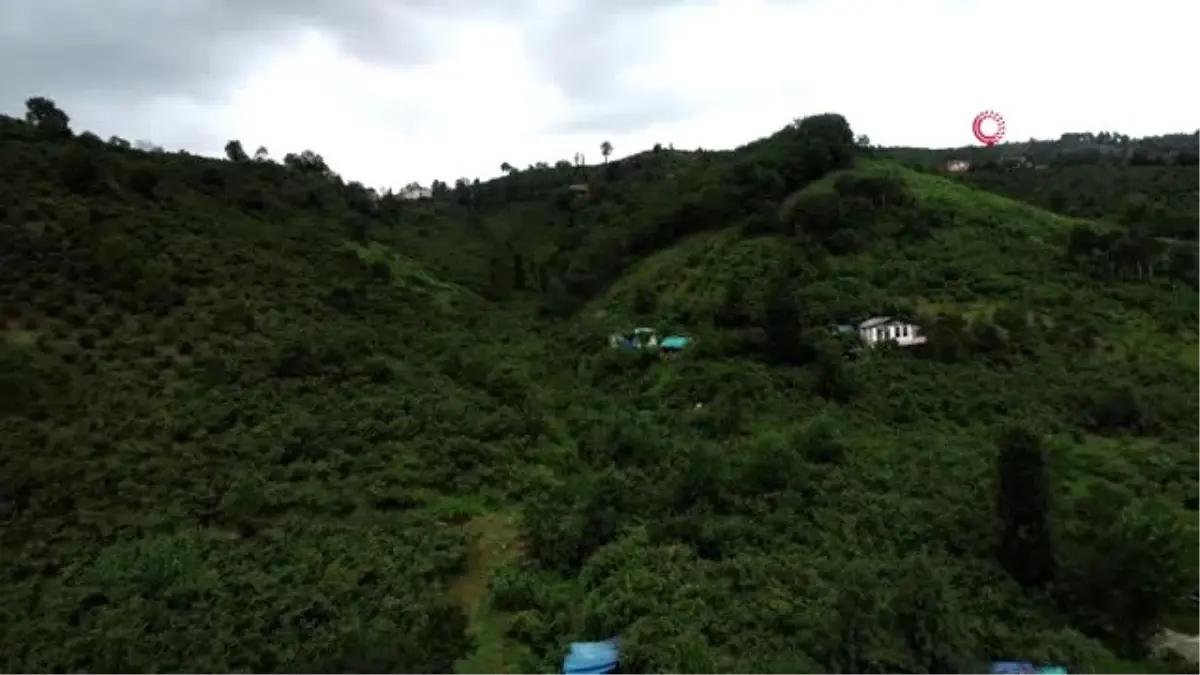 Karadeniz Bölgesi\'nde İklim Değişikliği Eylem Planı\'nda yeni rol haritası buradan başlayacak