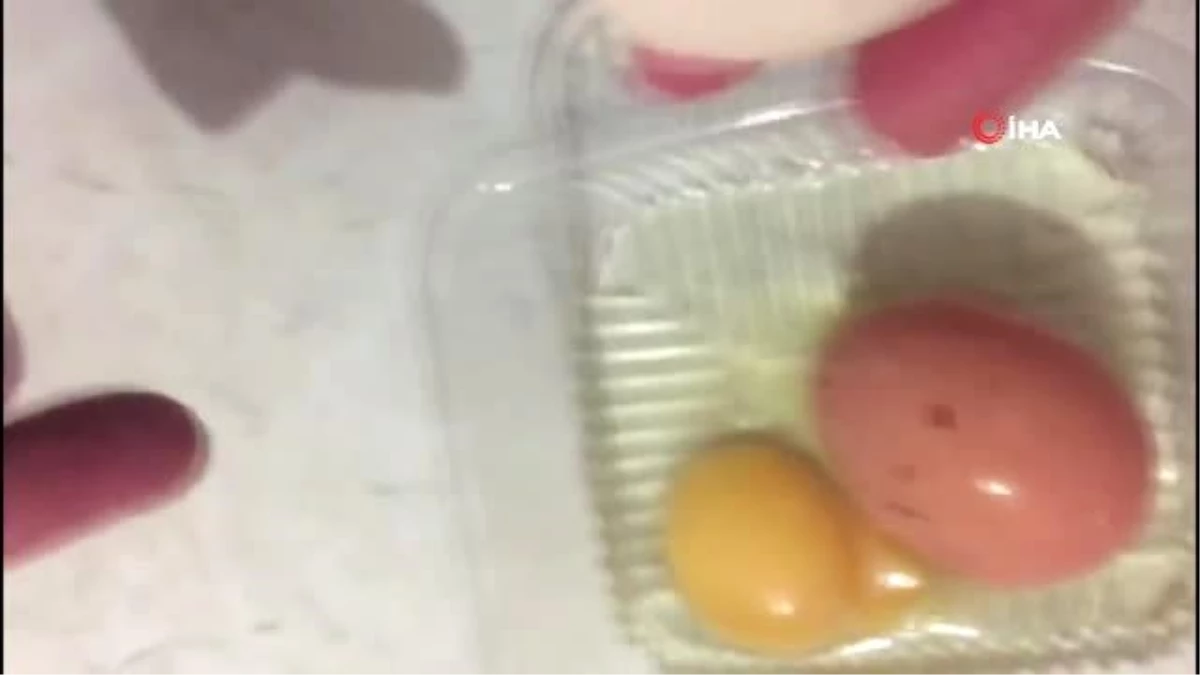 Matruşka yumurta... Yumurtanın içinden yumurta çıktı
