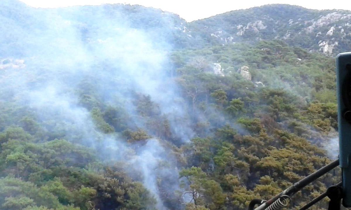 Milas\'taki yangında soğutma çalışmaları devam ediyor