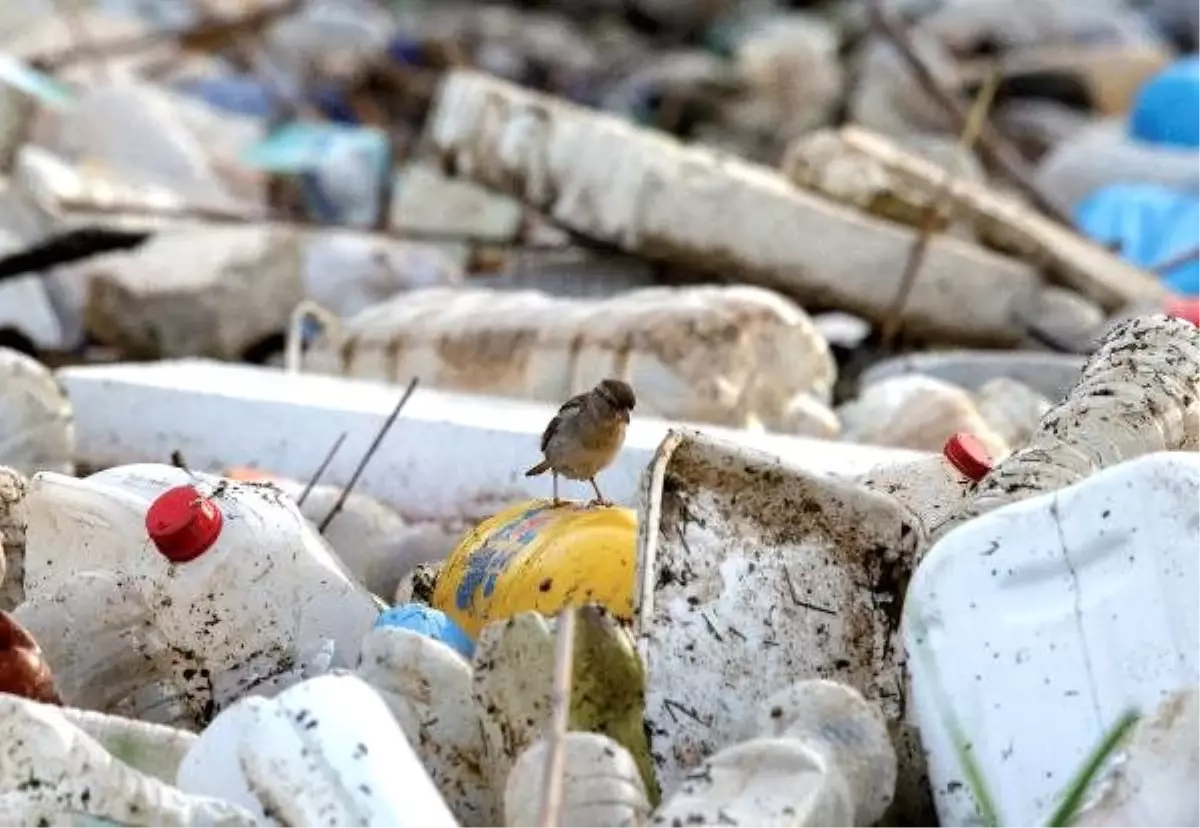 Tek kullanımlık plastiklerin yasaklanması için 200 bine yakın imza