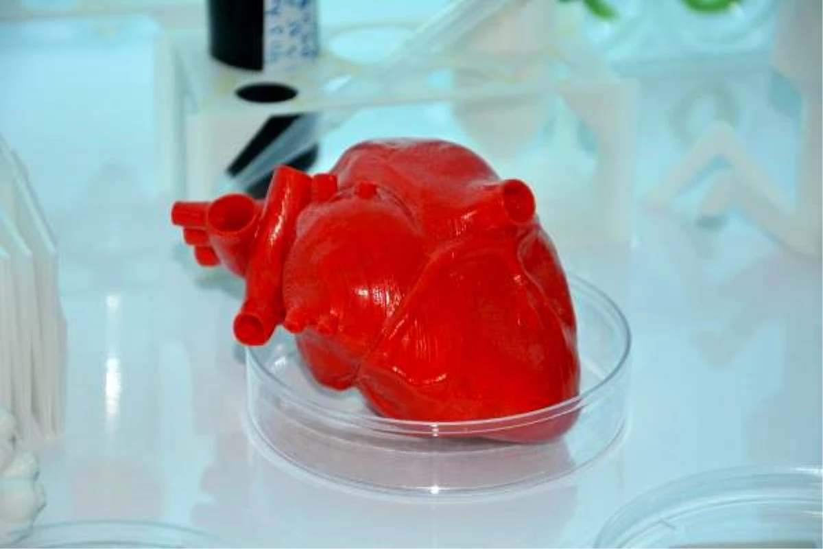 Türk bilim insanları kök hücre ve 3D biyo-yazıcı ile \'kalp\' üretecek