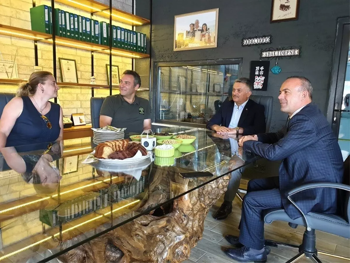 Vali Yazıcı zeytinyağı fabrikasında incelemelerde bulundu