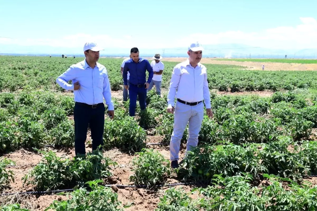 Yeşilyurt\'ta yüzde yüz yerli tarımsal üretim devam ediyor