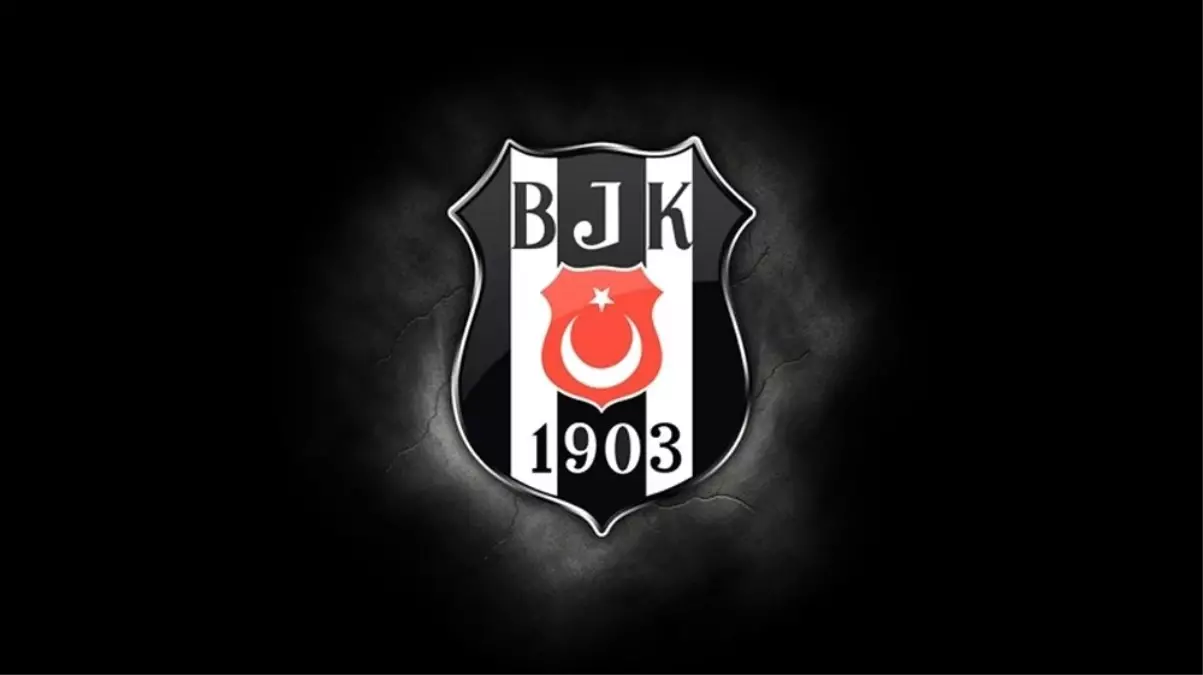 Beşiktaş, Avrupa altyapısını Fabian Ernst\'e emanet etti