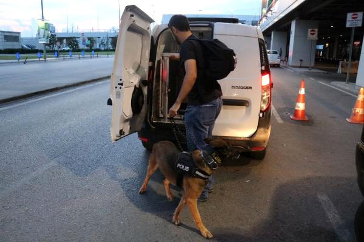 Narkotik köpekleri şark görevlerini yerine getirmek için yola çıktı