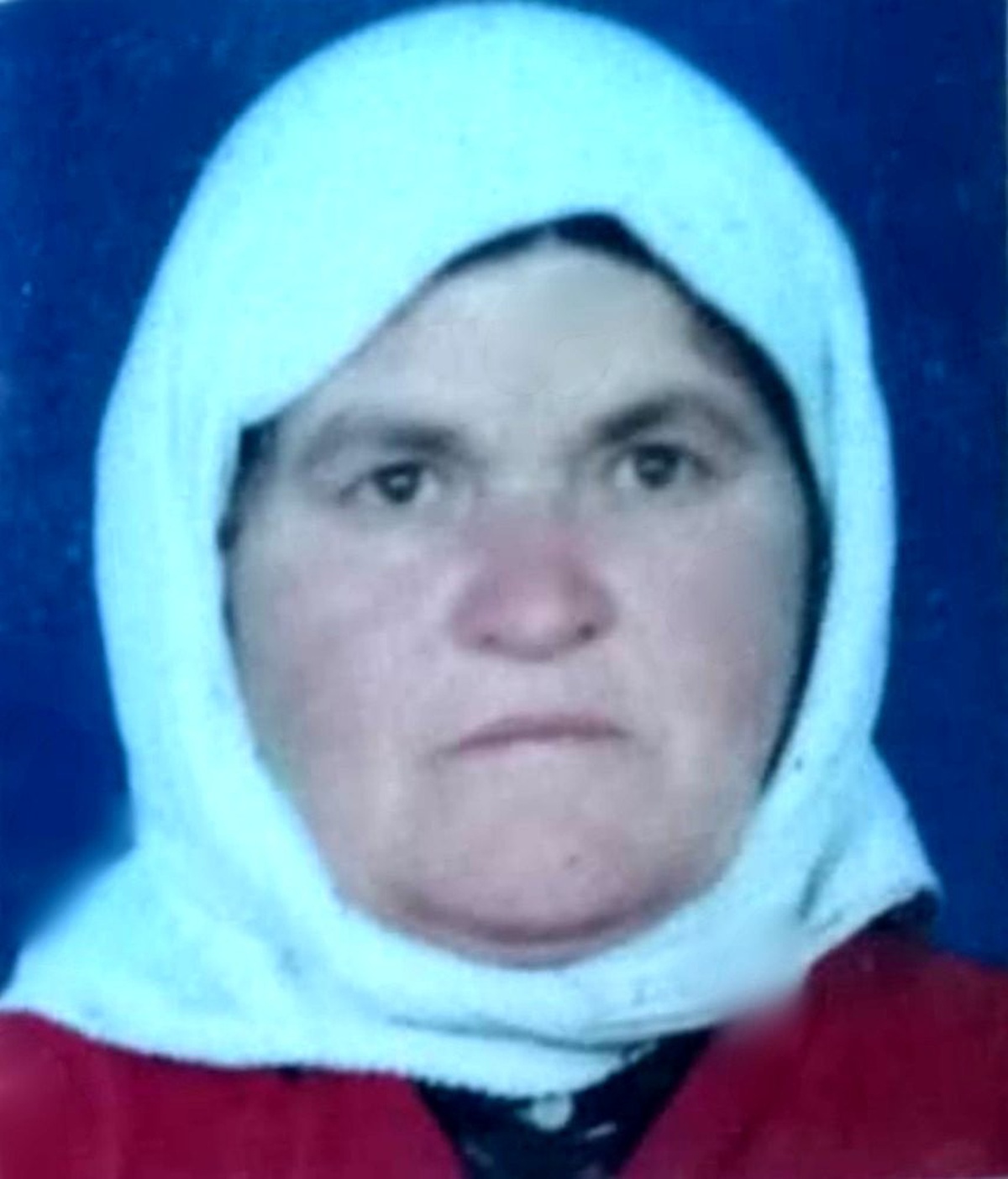 Ormanda toplanan mantardan yiyen kadın hayatını kaybetti