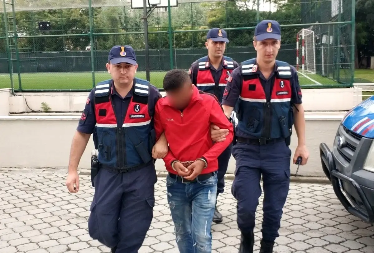 Tırların dorselerindeki soğutucu kartlarını çaldı