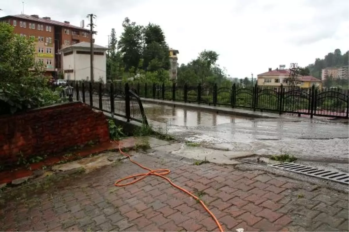 Yavru köpeği dereye atan işçiye, sokak hayvanlarına bakma cezası