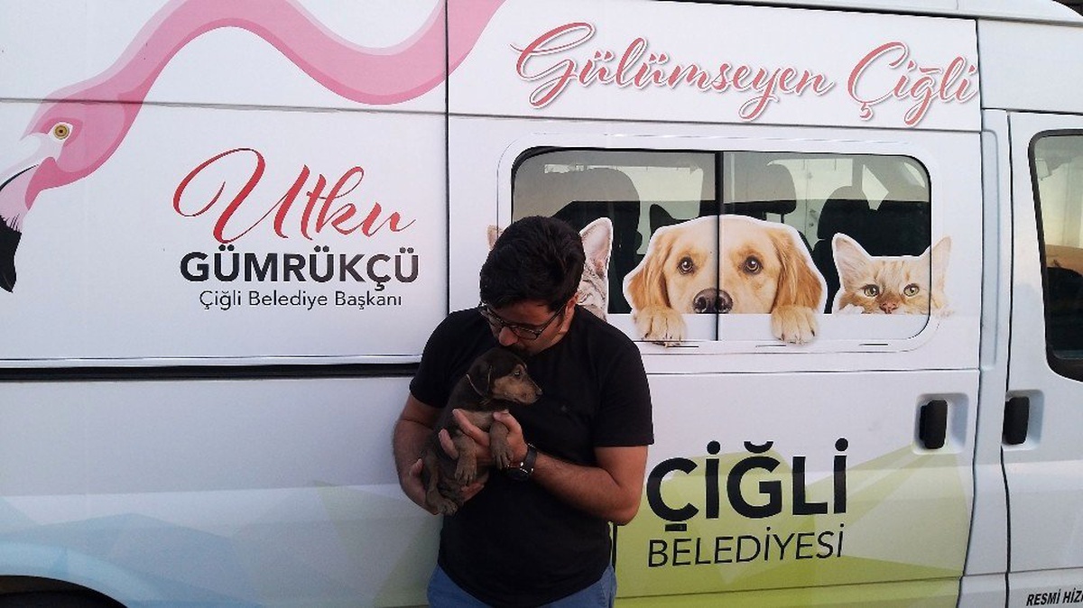 Yavru köpek 5 metre derinlikten kurtarıldı