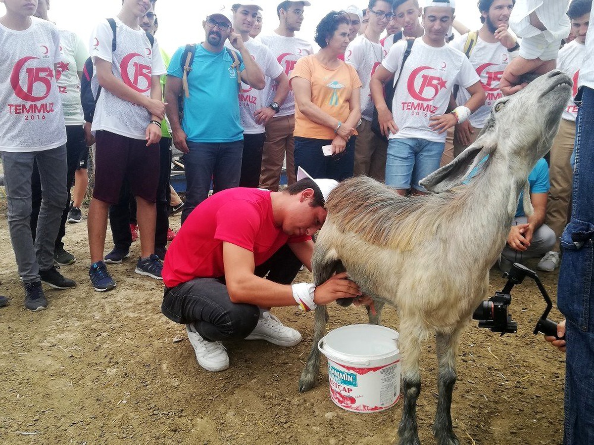 Büyükşehir\'den gençlere doğal yaşam terapisi