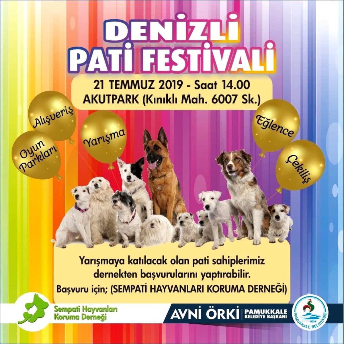 Hayvan dostları Pamukkale\'deki \'Pati Festivali\'nde buluşacak