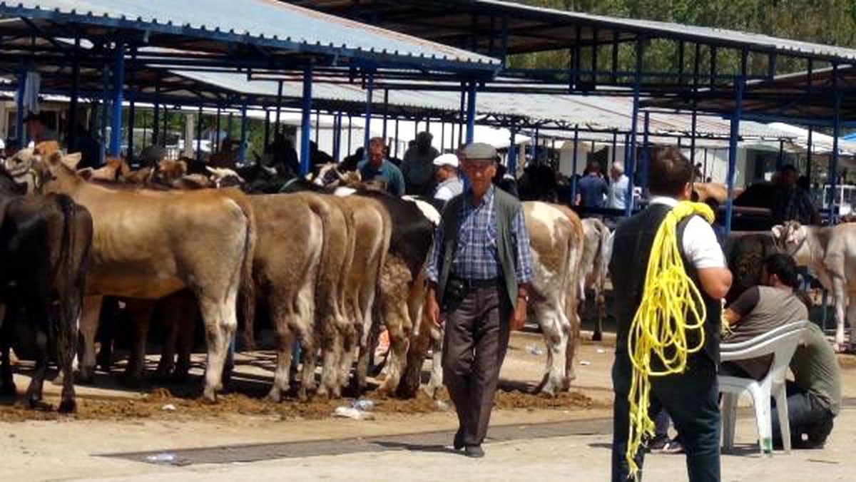 İzmir\'de kurbanlık fiyatlarında artış yok